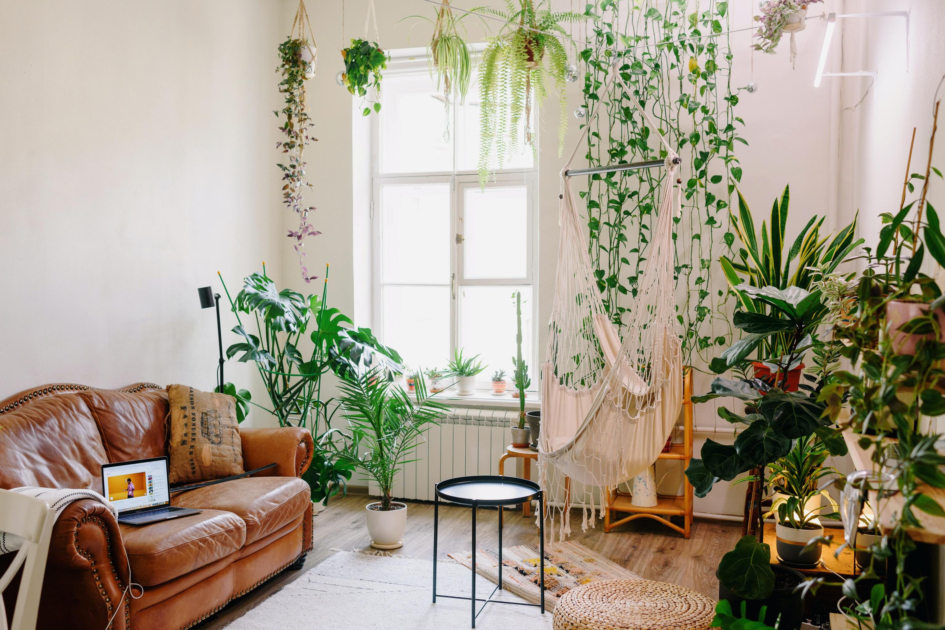 Decoration